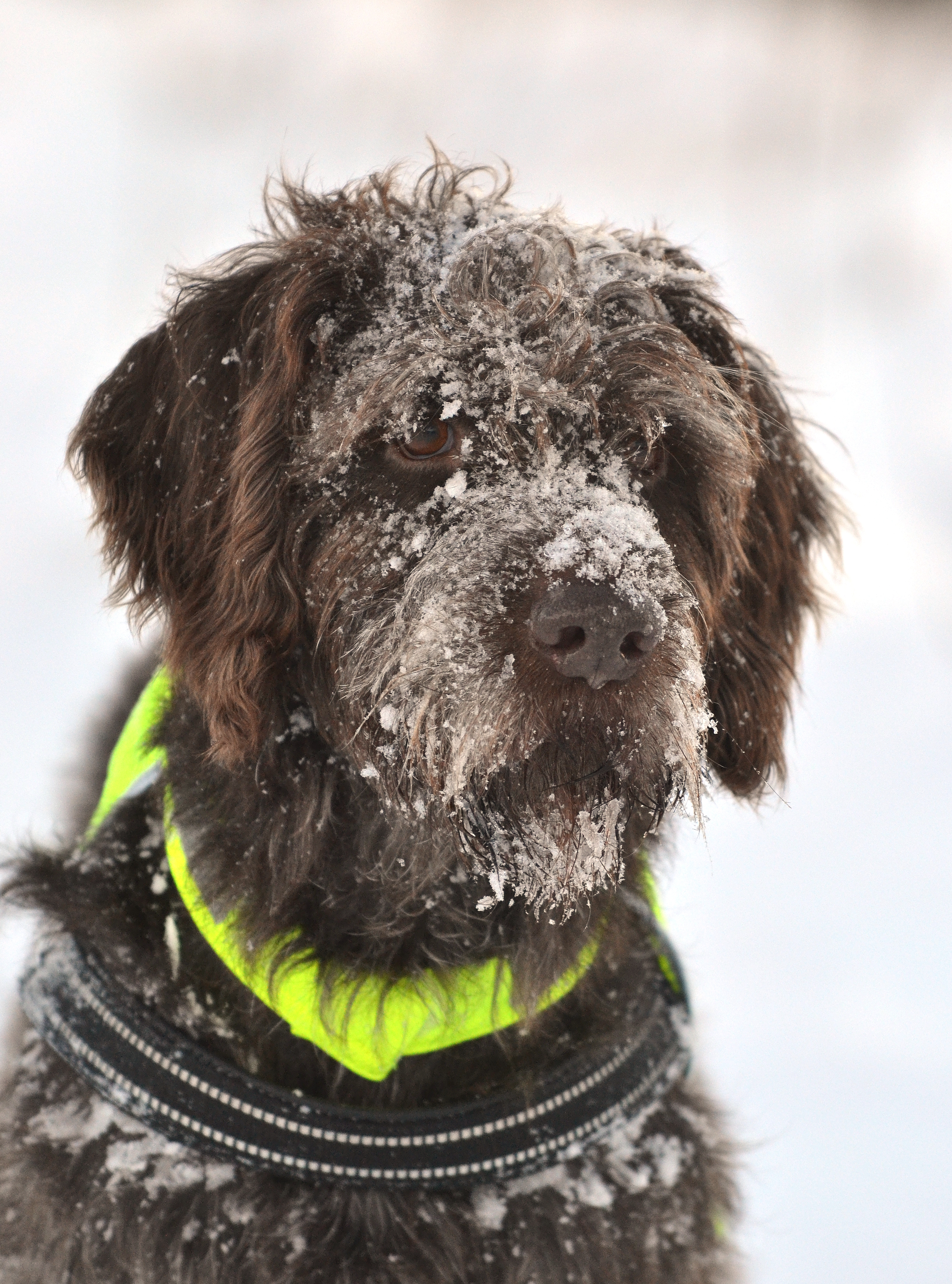 Röntgen och ultraljud