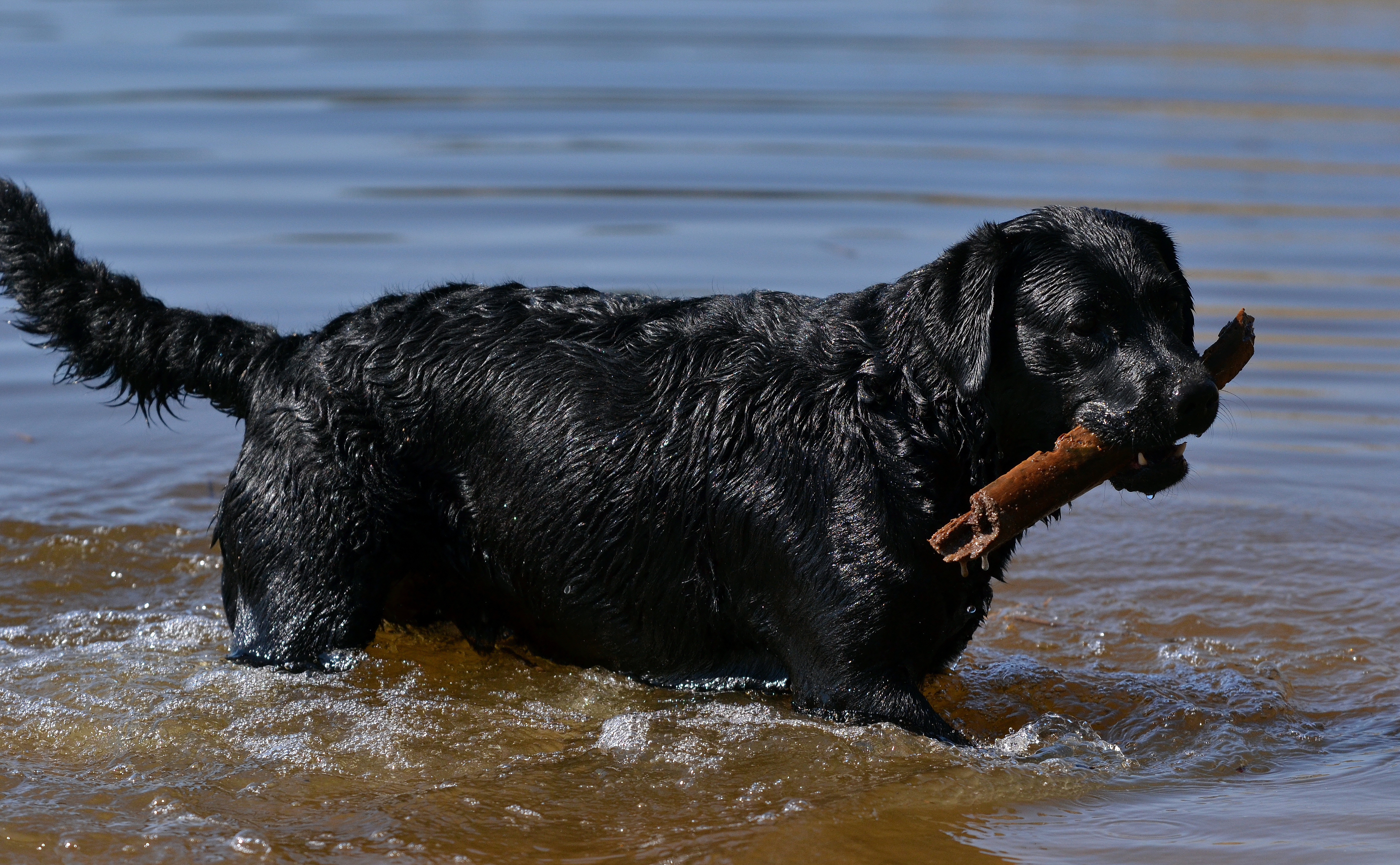 Behandling och operation