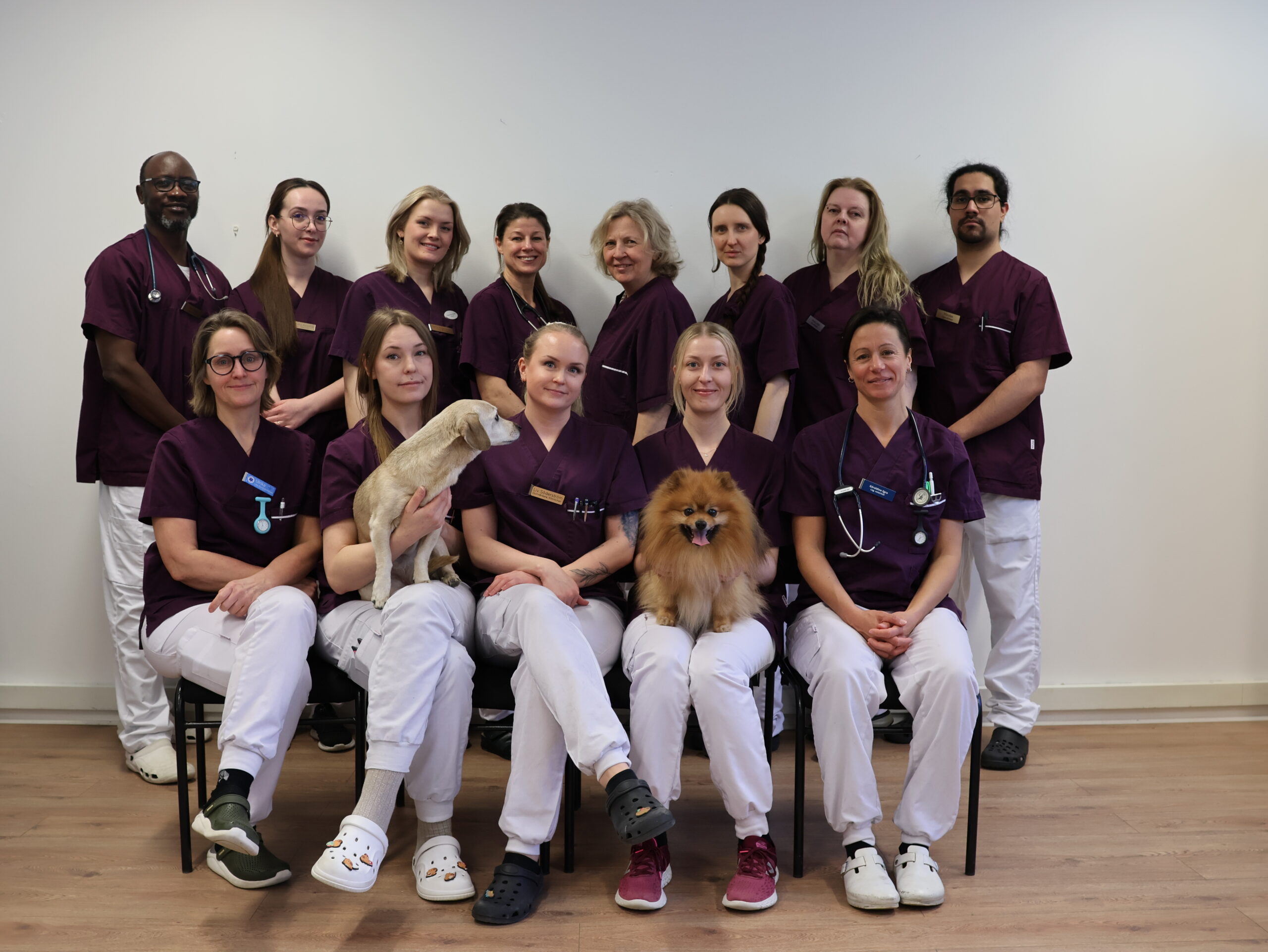 Veterinärer och personal på Djurkliniken Norrtälje